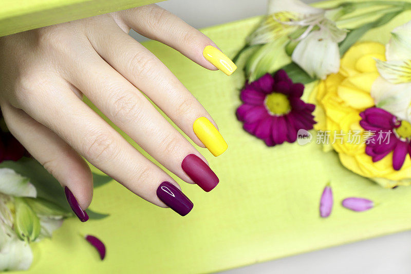 Beautiful fashionable multi-colored manicure with matte and glossy nail Polish colors with decorative small flowers